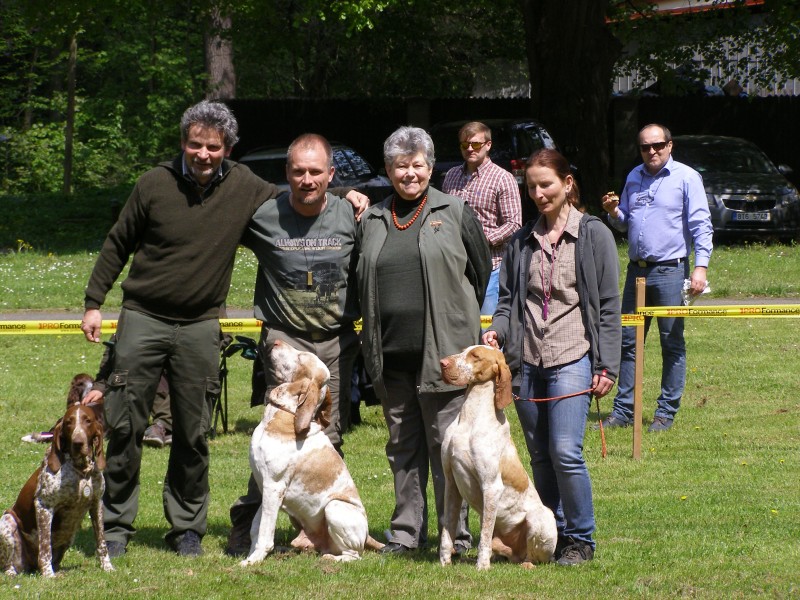 Společné foto italských ohařů krátkosrstých / zleva: hnědá bělouška fena RUMBA dell ´Oltrepo...Výborná 1, titul CAC, Klubová vítězka, BOS a v závěrečných soutěžích Nejlepší z BOS; bílooranžový 8 1/2 letý ARGENTO di Witigenove...Výborný 1, titul BOV, BOB a v závěrečných soutěžích Nejlepší z BOS; bílooranžový pes ARGO od Zelené naděje...Výborný 1, titul CAC, Klubový vítěz / a jejich majitelů s paní rozhodčí Ahrens Hana, A. - foto Eva Merhoutová
